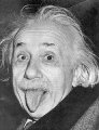 einstein_lingua