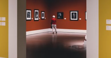 Uma senhora observando quadros em uma exposição. A Arte e a Estética Contemporânea no Mercado Consumidor de “Produtos e Serviços”